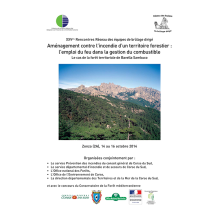 Rencontres annuelles du Réseau Brûlages dirigés