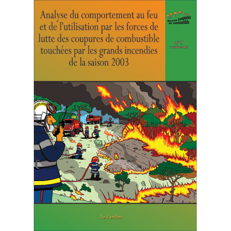 Comportement au feu et utilisation par les forces de lutte des coupures de combustible pendant les grands incendies 2003