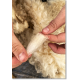 Analyse d'une mèche de laine Île-de-France © Marine Allain