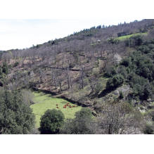 pastothèque milieux pastoraux changement climatique