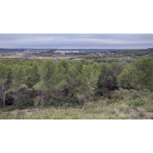 pastothèque milieux pastoraux changement climatique