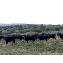 pastothèque milieux pastoraux changement climatique