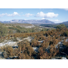 pastothèque milieux pastoraux changement climatique