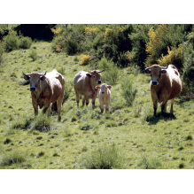 pastothèque milieux pastoraux changement climatique