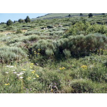 pastothèque milieux pastoraux changement climatique