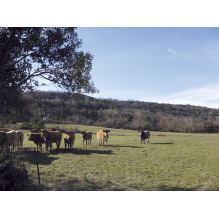 pastothèque milieux pastoraux changement climatique