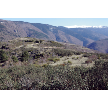 pastothèque milieux pastoraux changement climatique