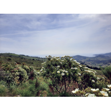 pastothèque milieux pastoraux changement climatique