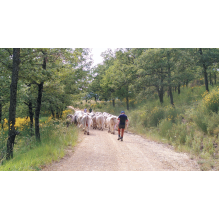 pastothèque milieux pastoraux changement climatique