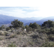 pastothèque milieux pastoraux changement climatique