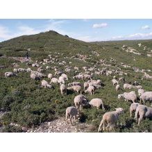 pastothèque milieux pastoraux changement climatique