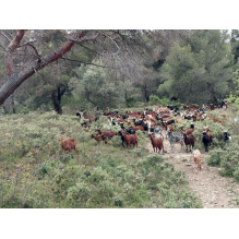 pastothèque milieux pastoraux changement climatique