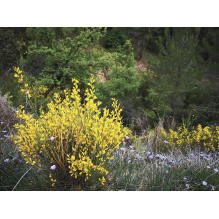 pastothèque milieux pastoraux changement climatique