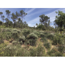 pastothèque milieux pastoraux changement climatique