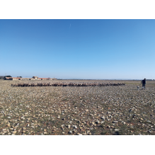 pastothèque milieux pastoraux changement climatique