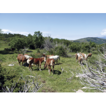 pastothèque milieux pastoraux changement climatique
