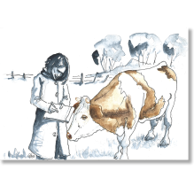 Beautés des vaches. Élever des Montbéliardes… entre passion et product