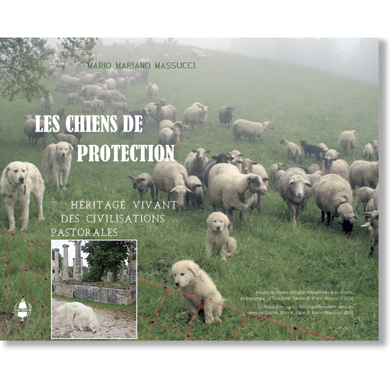 Les chiens de protection. Héritage vivant des civilisations pastorales
