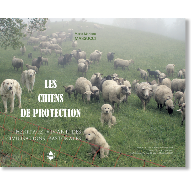 Les chiens de protection. Héritage vivant des civilisations pastorales Les chiens de protection. Héritage vivant des civilisations pastorales