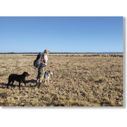 L'élevage pastoral face au changement climatique