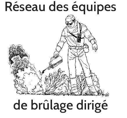 logo RBD